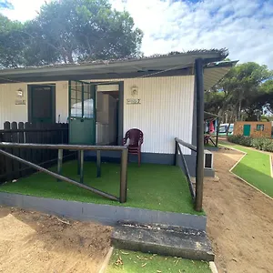 camping-giralda.es-andalucia.com/